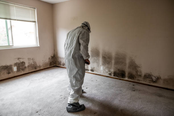 Best Mold Prevention Services  in Natchez, MS